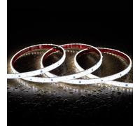 Ruban Led Dimmable 220v Smd Auto-Redressement 120 Led/M 14w/M 1680lm/M Silicone Flex Largeur 12mm Coupe 10cm Ip67 Sur Mesure 6000k Blanc Froid 1 M