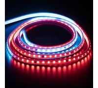 Ruban LED RGB Exterieur 10M 220V Multicolore Cordon Lumineux sans Transformateur IP67 Etanche Bandeau Strip Light, 10 Metre SMD 5050 Dream Color Running LED Strips (10m, RGB)