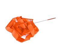 Rubans de Danse Ruban de Gymnastique pour Enfants, Banderoles de Gymnastique Gracieuses et Flexibles de 13,12 Pieds pour Le Développement des Enfants en Danse et en, Matériau en Nylon et