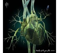 Rubashov Martin - Members of The Green Phlox [Import]