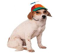 Rubies Chapeau hélice pour Animaux domestiques