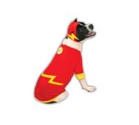 Rubies Costume de Super héros DC Comic Flash pour Homme Taille S Multicolore