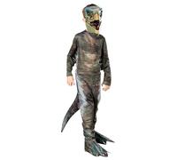 Dino-Rubies Therizinosaurus Costume Enfants pour Déguisement Amusant