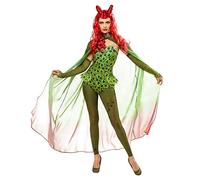 Rubies DC Batman & Robin Movie: Poison Ivy Costume pour adulte, femme L