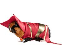 Rubie's DC League of Super Pets Lulu Costume pour petit animal de compagnie, comme indiqué, XS