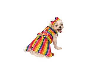 Rubie's Déguisement Officiel Rainbow Party pour Chien Taille S 200 g