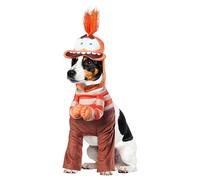 Rubies Disney Inside Out Costume pour chien ou chat Anxiety Taille M