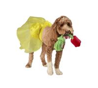 Rubie's Disney Princess Belle Ensemble tutu et jouet, comme indiqué, M/L