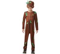 Rubie's Official Twig Boy, Child Costume, Book Day Character - Medium Age 5-6, H