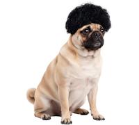 Rubie's Officielle pour Animal Domestique Chien Costume, Mexicain Motifs aztèques - Grande