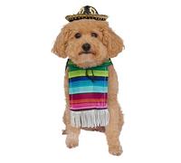 Rubie's Costume de chien mexicain à motifs aztèques – Grande
