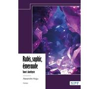 Rubis, saphir, émeraude - Tome 1 Améthyste - Alexandre Hogu - Nombre 7 - relié - roman jeunesse
