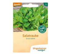 Ruca Salad Tractor - Eruca sativa 6-pack