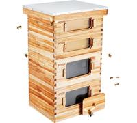 Ruche, 40 cadres, ruche Zander, bois de cèdre recouvert de cire d'abeille, 2 ruches profondes + 2 ruches moyennes, kit de ruche Langstroth, fenêtres acryliques transparentes avec fondations