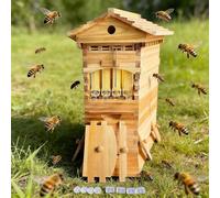 Ruche, Boîte En Bois À Écoulement Automatique De Miel Avec Distributeur Automatique De Miel, Cèdre Traité À La Cire, Assemblages À Tenon Et Mortaise, Récolte Du Miel Sans Ouvrir La Ruche