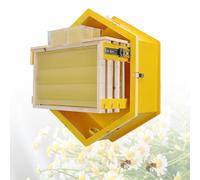 Ruche murale avec fenêtre de visualisation, boîte de collecte de miel pour apiculteurs amateurs, récolte des colonies d'abeilles