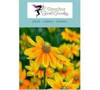 Rudbeckia Green Eyes - Rudbeckia hirta 30 Graines - vivace