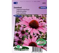 Rudbeckie pourpre (Echinacea) - Graines De Fleurs Vivaces