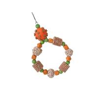 Rudiaoa 1 Ensemble De Jouets Puzzle pour Perroquets Jouet D'intelligence D'oiseau Cage À Oiseaux Décoration Colorée pour Le Développement Sensoriel Et Moteur Bloc De Perruches Colorées