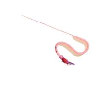 Rudiaoa À Corde Élastique Jouet Résistant Morsures De Chats Interactif pour Promouvoir La Santé avec Durabilité Jouet Résistant Morsures