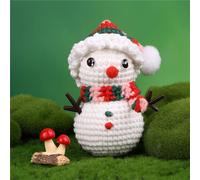 Rudiaoa Ensemble De Bricolage Crochet Noël Comprenant Des Fils À Instructions D'aiguille Accessoires Pour Débutant Ensemble Facile À Démarrer Bricolage