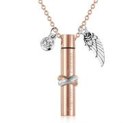 Rudiaoa Urne Commémorative pour Cendres Sculpture De Gratitude Élégante Croix Crémation Cendres Funéraires Chien Sympathie La Perte d'un Animal Compagnie