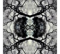 Adam Rudolph - Sonic Mandala Go: Organic Orchestra