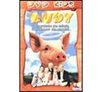Rudy