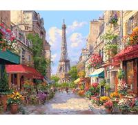 Rue De La Tour De Fer à Paris, Puzzle 2000 Pieces Adultes YHPGL5-7