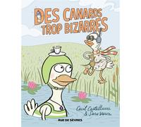 RUE DE SEVRES des canards trop bizarres