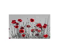 RUEKO Decoration Murale Salon Toile peinture Peintures Moderne Fleurs Affiches Et Gravures Rouge Coquelicots Tableau Pour Salon Decoration 40x60cm Sans Cadre