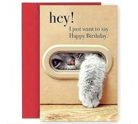 Rufevee Carte d'anniversaire Chat Mignon, ludique Kitty Patte Design, Carte de Joyeux Anniversaire avec enveloppe, Meilleur Cadeau pour Les Amoureux des Chats, Famille, Amis