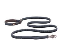 Ruffwear, Roamer Laisse élastique pour Chien pour la Course, Le vélo ou la randonnée, Peut être utilisée à la Main ou Les Mains Libres, Granite Gray, 2,3 à 3,3 m