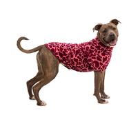 Ruffwear Manteau Pour Chien Climate Changer™