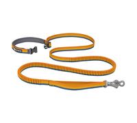 Ruffwear Roamer™ Dog Leash Bleu L