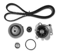 Rufutle Kit de Courroie de Distribution pour Audi A3 A4 TT 2005-2014, pour VW EOS Passat 2.0T 2.0L BPY BWT CDMA, Kit de Courroie de Distribution Moteur Pompe à Eau