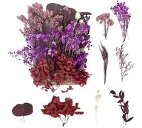 RUGBOL Fleurs séchées, Fleurs pressées, Fleurs séchées, Artisanat pour Bricolage, Arts, résine, Scrapbooking, Fabrication de Bijoux, décorations Florales (Violet)