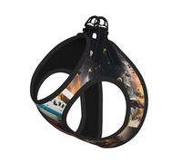 Rugby on Fire Ensemble harnais et laisse doux pour animal de compagnie, harnais réglable en maille pour chiots et chats de petite et grande taille