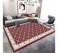 RUGMRZ Table Basse Tapis De Zone Lavable Décoratif Antidérapant Moderne Simple Et Durable Arc en Ciel Chambre Fille Rouge Éveil Bébé Decoration Ado 200X250CM