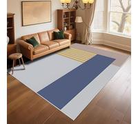 RUGMRZ Tapis Ado Fille Non Slip 100x160cm Bleu Gris, Rayures Modernes conçues pour Le Salon Hall