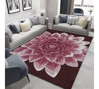 RUGMRZ Tapis De Bar D'Entree Interieur Le Salon rétro Rouge est Facile à Entretenir 70x140cm