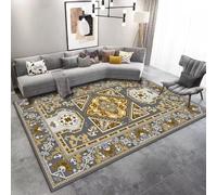 RUGMRZ Tapis en Solde De Zone Lavable Décoratif Antidérapant Moderne Simple Et Durable pour Salon Multicolore D'Eveil Bebe Ext¨¦Rieur 100X160CM