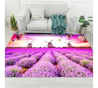 RUGMRZ Tapis Ferme Enfant 80X120Cm Deco Chambre Ado Violet Fille De Cuisine Antidérapant Et Lavable Tapis, Coussinets Protecteurssalon Motif Fleurs Chaudes