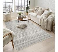 Rugs by Desire Maia Tapis de Salon Lavable en polypropylène Doux avec Envers en Coton antidérapant pour espaces intérieurs élégants Gris 120 x 180 cm (rectangulaire)