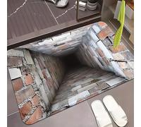 Rugs That Look Like a Hole, Dog Gets Scared of 3D Hole Carpet, 3D Trap Optical Visual Illusion Rugs, Optical Illusion Rug, for Door Entrance, Bathroom, Stairs, Living Room Decor (H,19.6 * 31.5in)