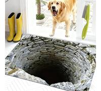 Rugs That Look Like a Hole, Dog Gets Scared of 3D Hole Carpet, 3D Trap Optical Visual Illusion Rugs, Optical Illusion Rug, for Door Entrance, Bathroom, Stairs, Living Room Decor (A,31.5 * 47.2in)