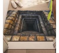 Rugs That Look Like a Hole, Dog Gets Scared of 3D Hole Carpet, 3D Trap Optical Visual Illusion Rugs, Optical Illusion Rug, for Door Entrance, Bathroom, Stairs, Living Room Decor (F,19.6 * 31.5in)