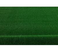 rugsx Gazon Artificiel Spring Dimension finie 150x300 cm Vert