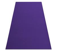 rugsx Tapis Moderne antidérapant Rumba pour la Cuisine, Le Hall, Le Couloir, Le Salon, la Chambre, Solide, Violet 200x200 cm