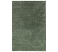 RugVista Comfy Tapis Tapis à Poils Longs/Shaggy, 200x300 cm, Rectangulaire, Poil Moyen, Nettoyage à Sec, Chambre pour Jeunes et bébés, Pas de substances nocives, Vert
